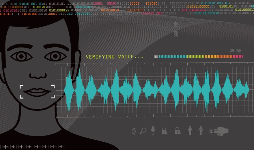 Image showing voice metrics that is being used for authentication